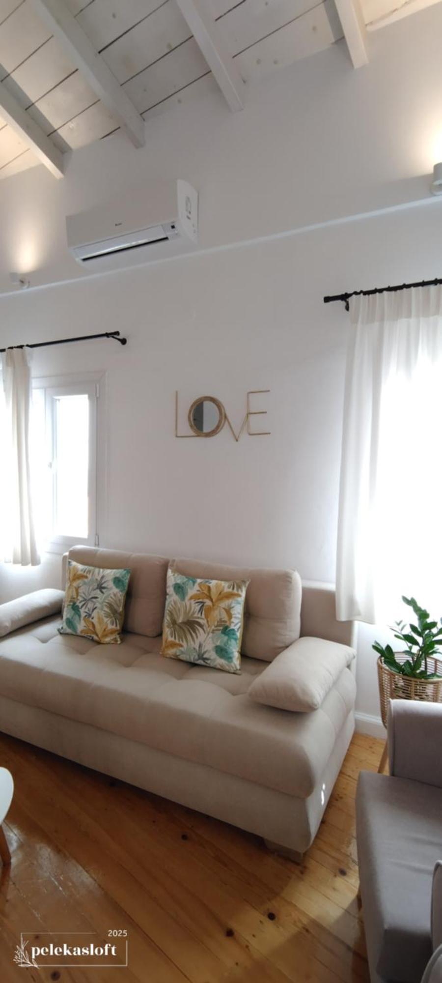 Apartment Loft
